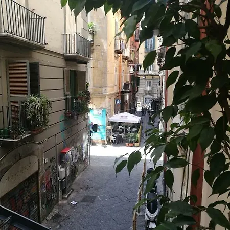 Ciuciu' *